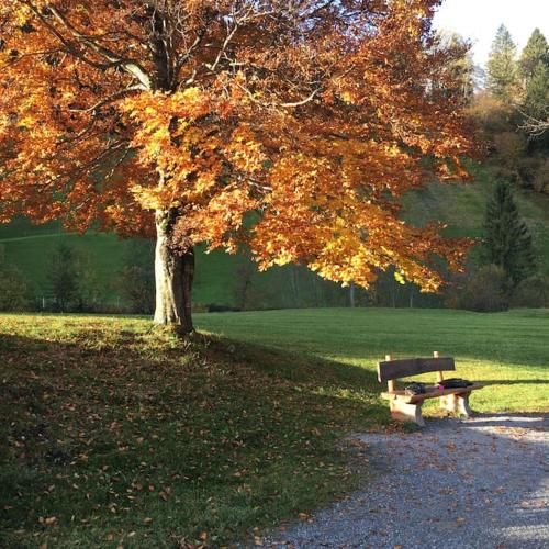 Outdoor Pictures 10