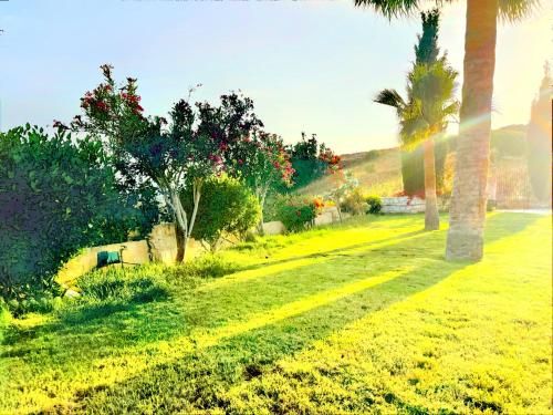 Outdoor Pictures 13