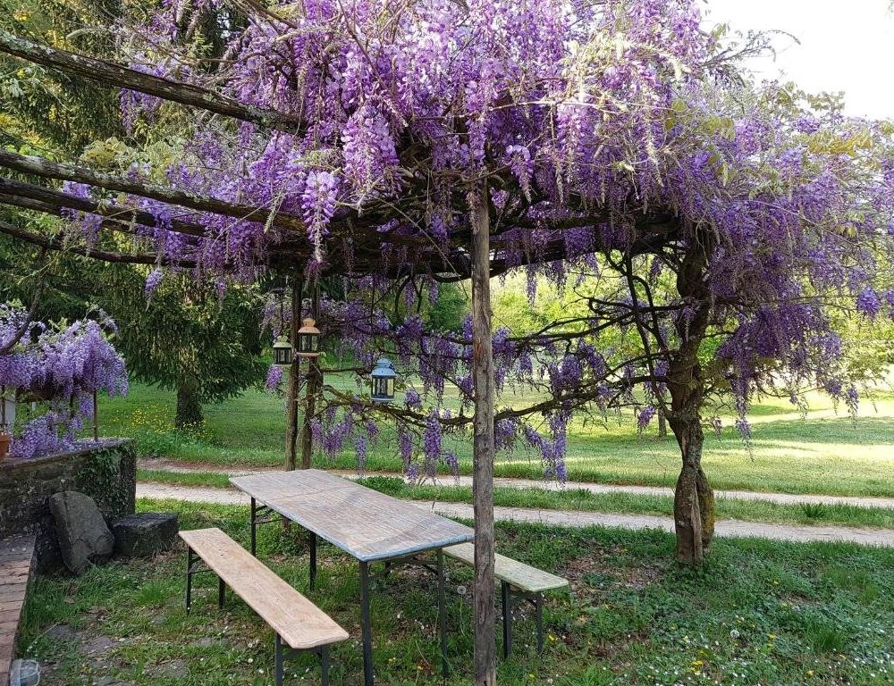 Outdoor Pictures 1
