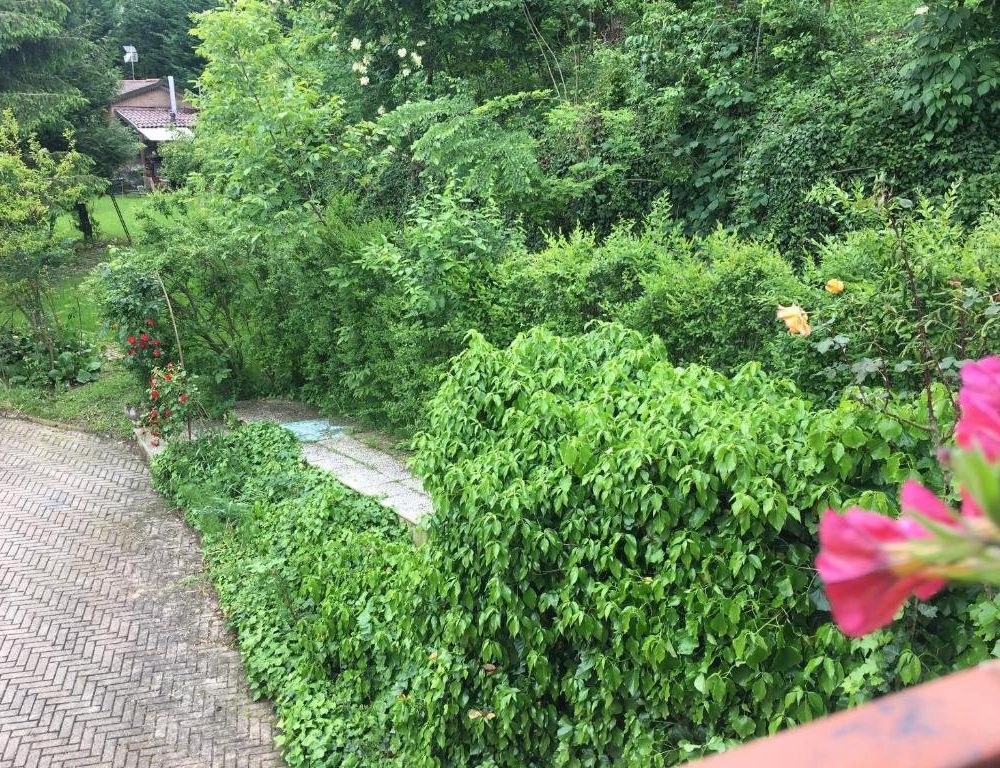 Outdoor Pictures 3