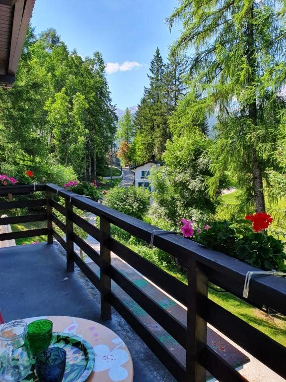 Outdoor Pictures 12