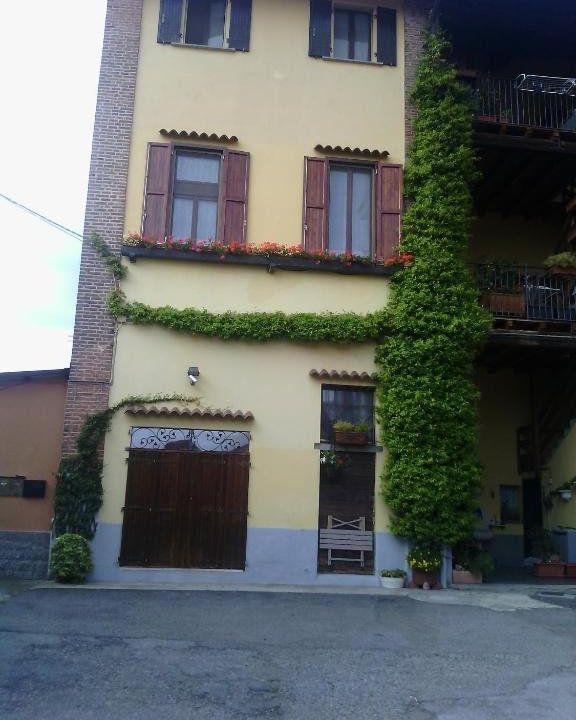 B&b Rosy