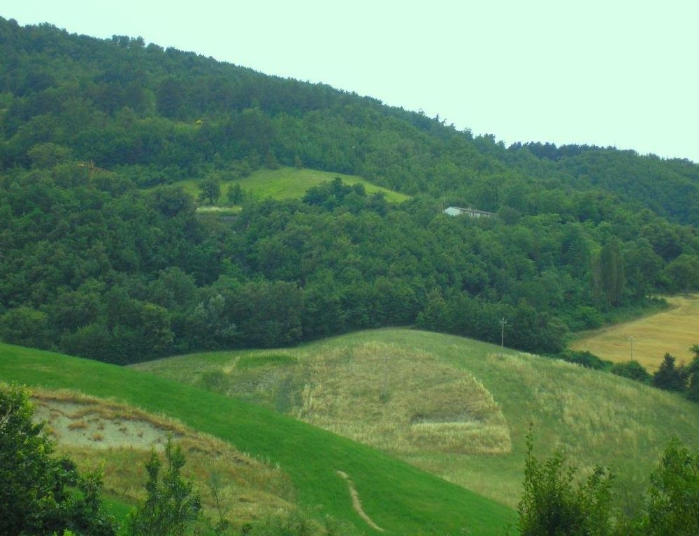 Outdoor Pictures 4