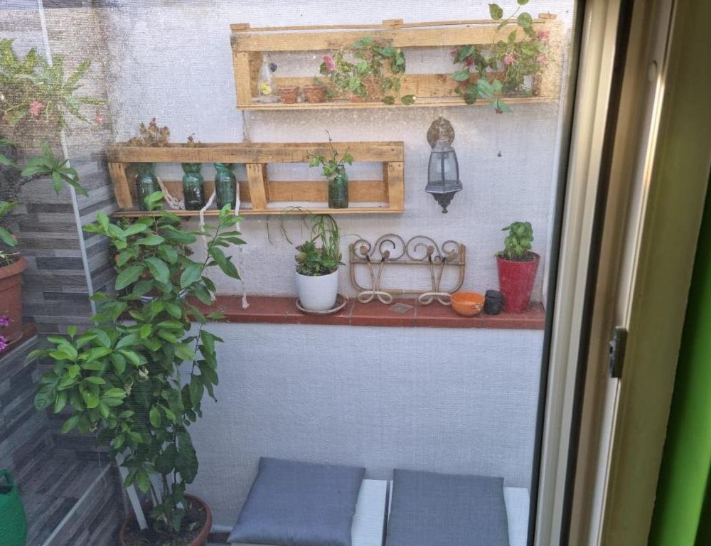 Outdoor Pictures 3