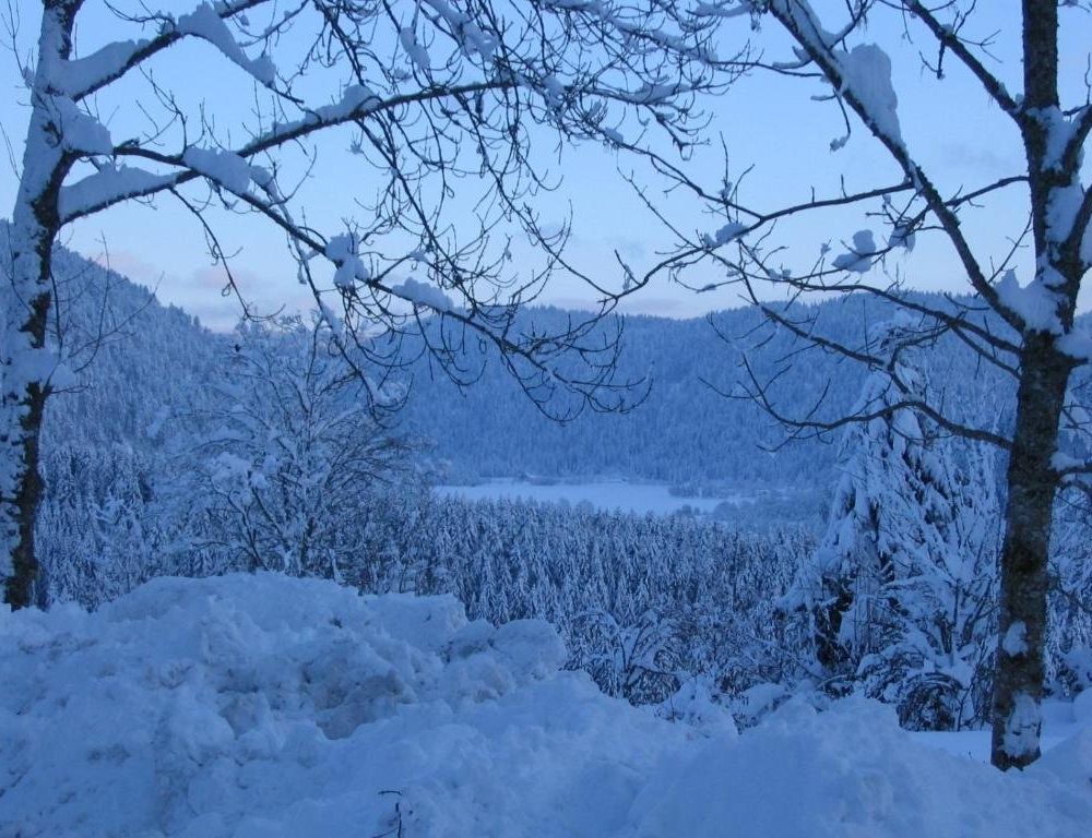 Outdoor Pictures 4