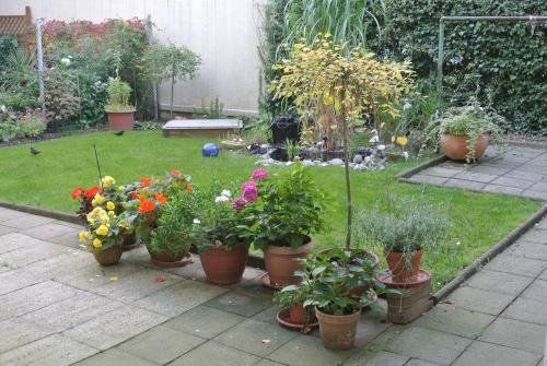 Outdoor Pictures 8