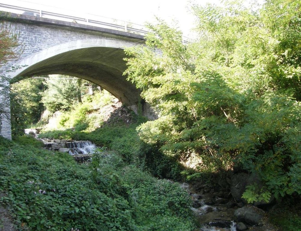 Outdoor Pictures 4
