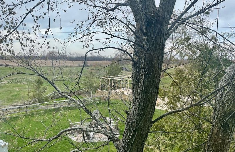 Jackson's Falls Country Inn
