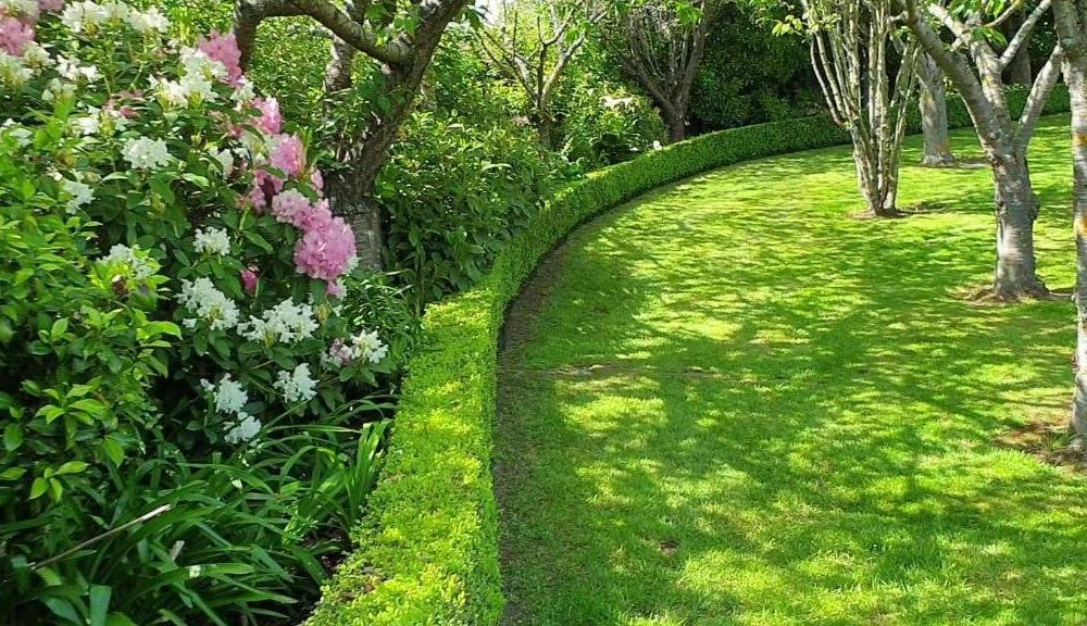 Outdoor Pictures 10
