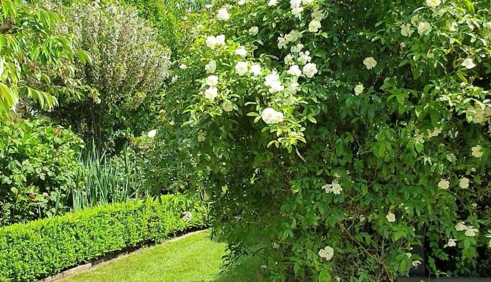 Outdoor Pictures 11