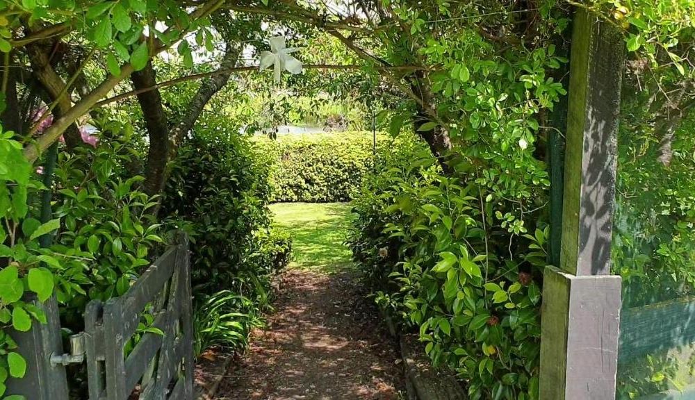 Outdoor Pictures 12