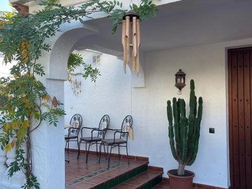 Casa Flora