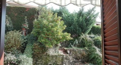 Outdoor Pictures 7