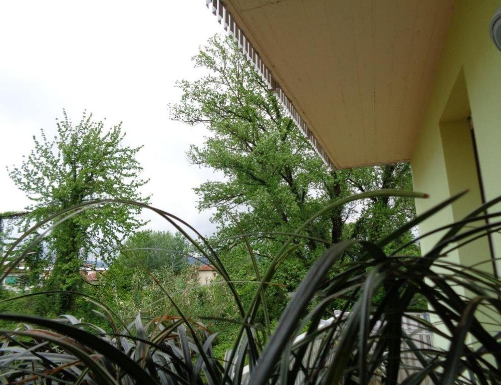 Outdoor Pictures 3