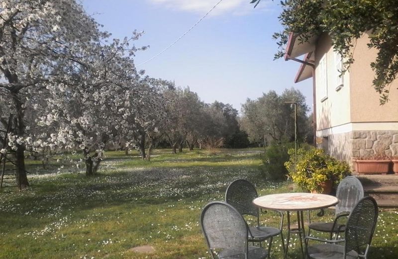 Casa Vacanze La Tartaruga