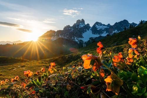 Outdoor Pictures 17