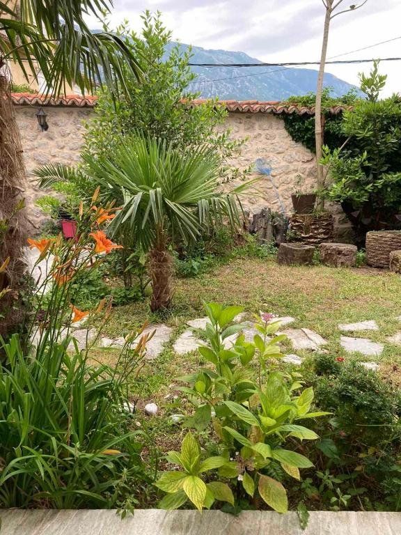 Outdoor Pictures 11