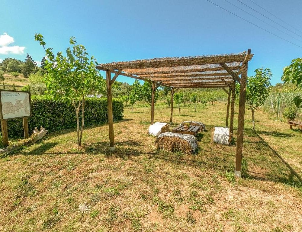 Outdoor Pictures 3