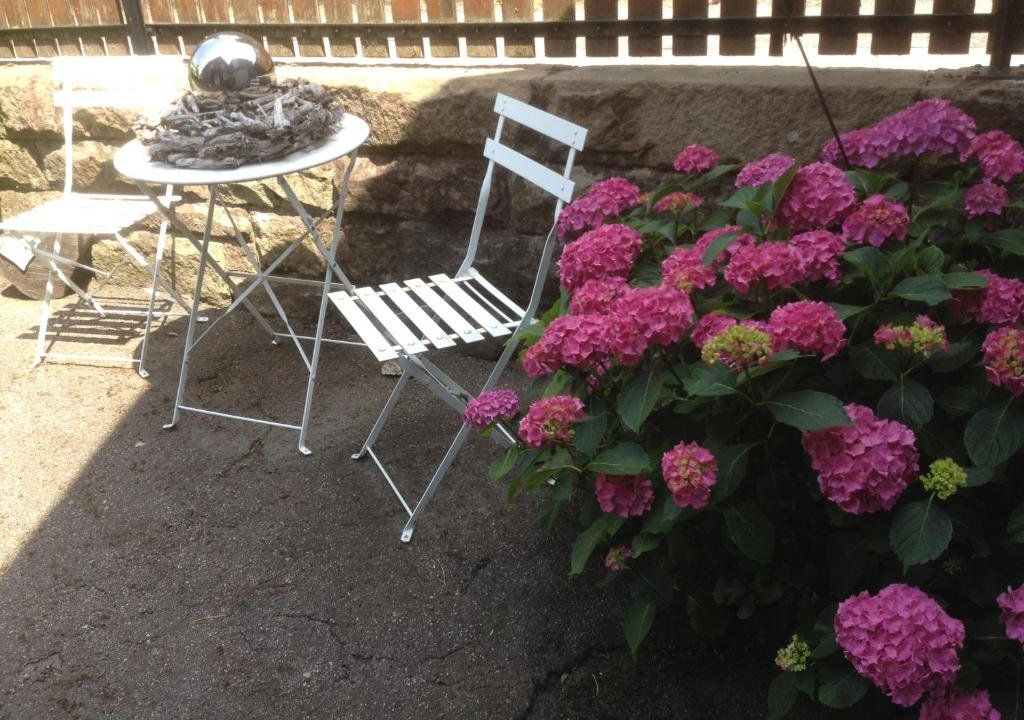 Ferienwohnung Pusteblume
