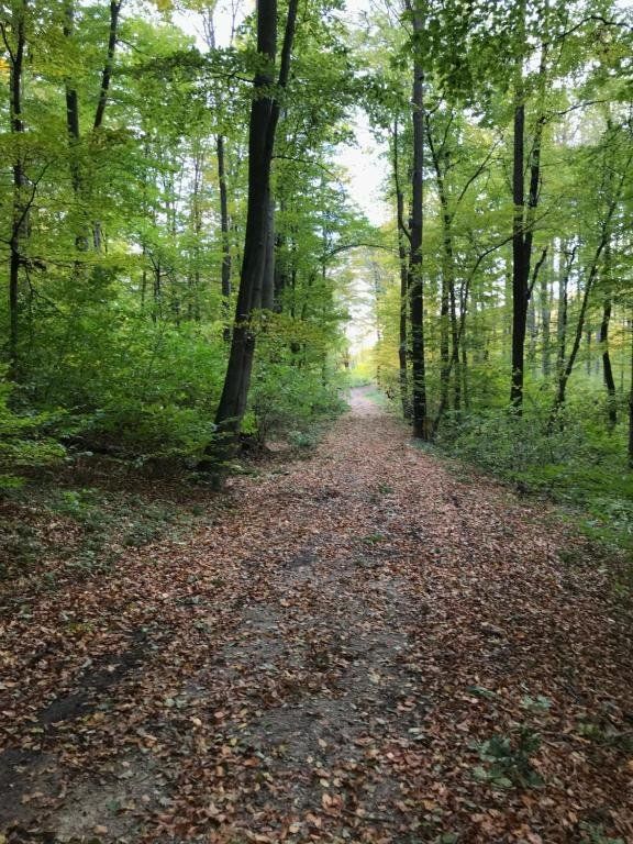Outdoor Pictures 7