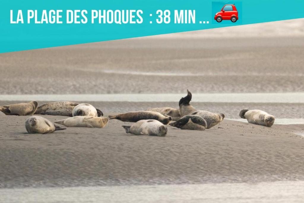 Les Pénates de Camiers
