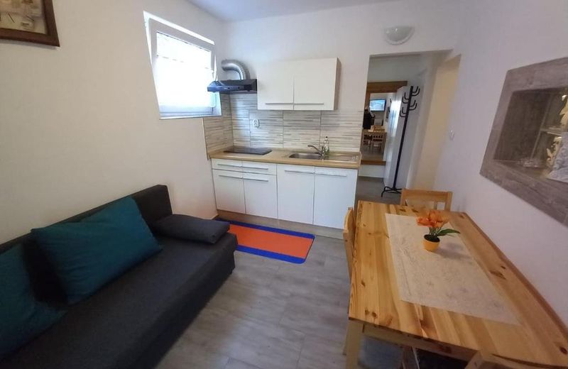 Apartmaji SLATENIK