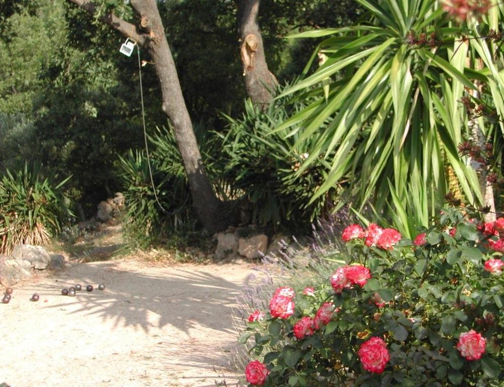 Outdoor Pictures 3