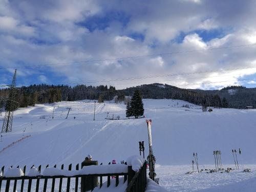 Outdoor Pictures 21
