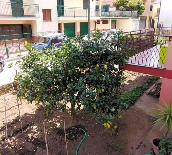 Nilu' e Sagio'