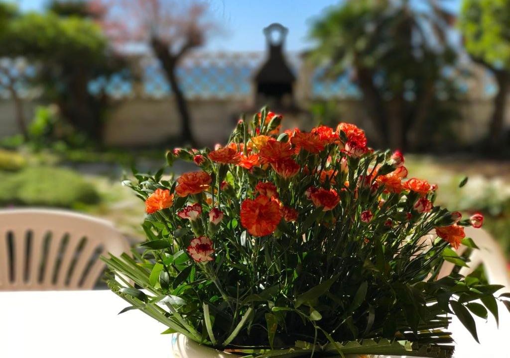 il giardino sul mare B&B