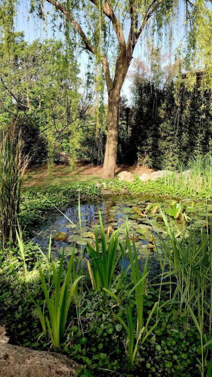 Outdoor Pictures 15