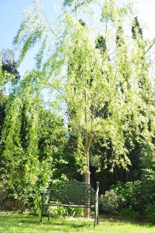 Outdoor Pictures 12