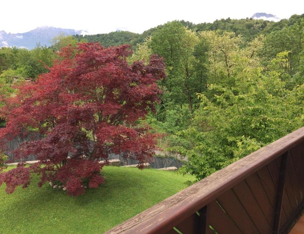 Outdoor Pictures 3