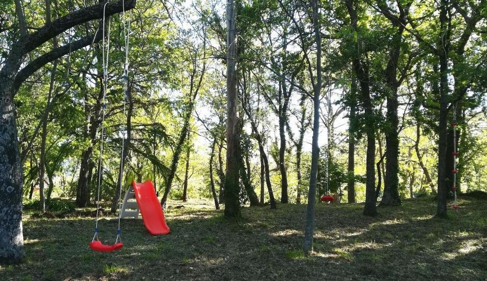 Outdoor Pictures 9
