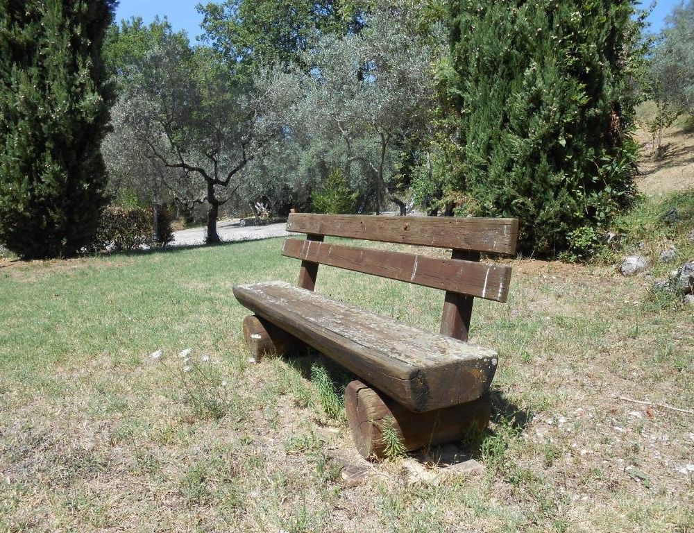 Outdoor Pictures 4