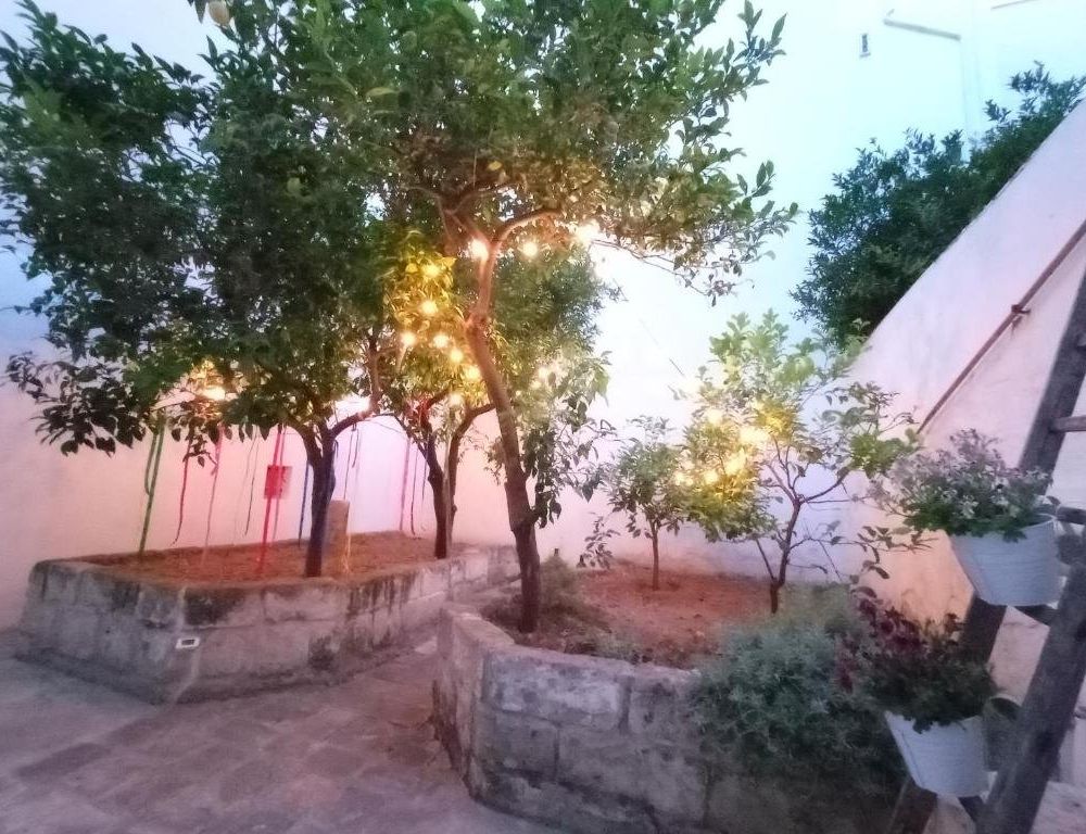 Outdoor Pictures 7