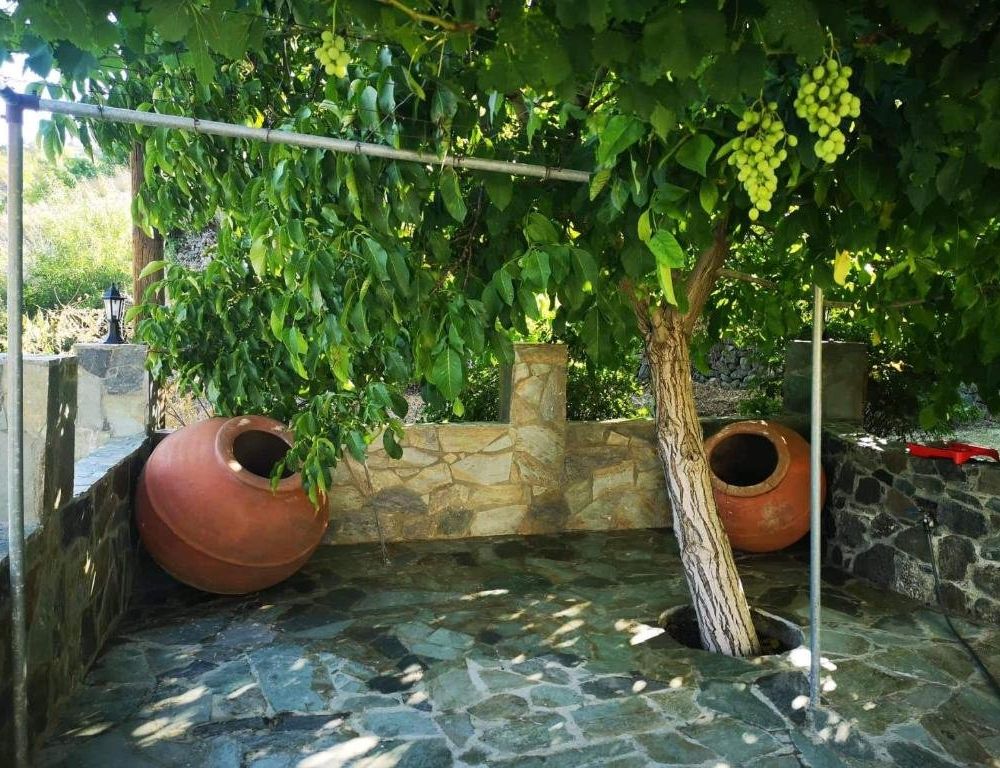 Outdoor Pictures 2