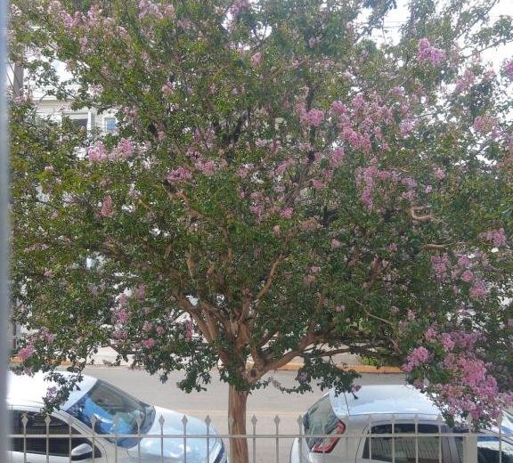 Hospedagem 154 Colonial
