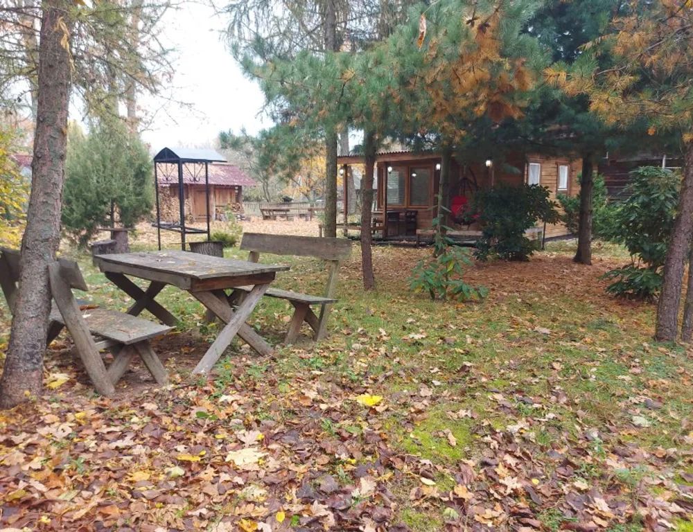 Outdoor Pictures 1