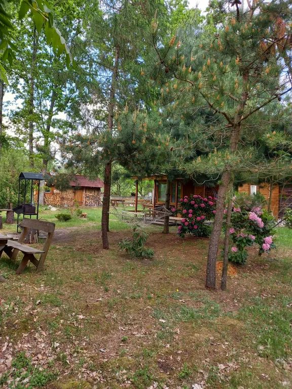 Outdoor Pictures 8