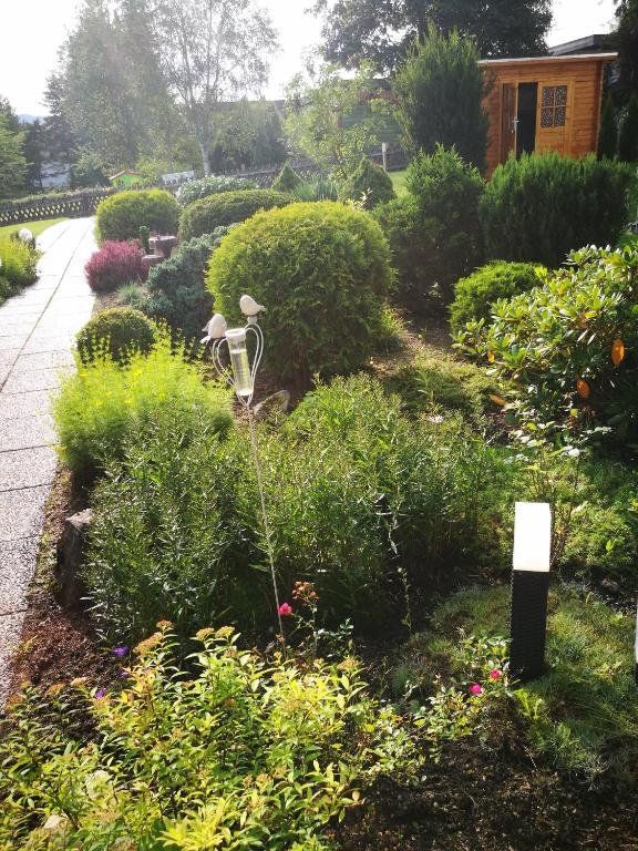 Outdoor Pictures 8