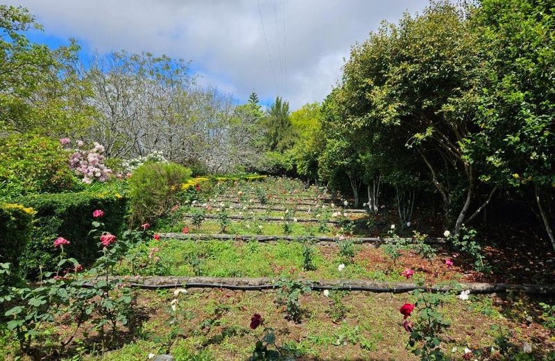 Quinta do Bento Novo