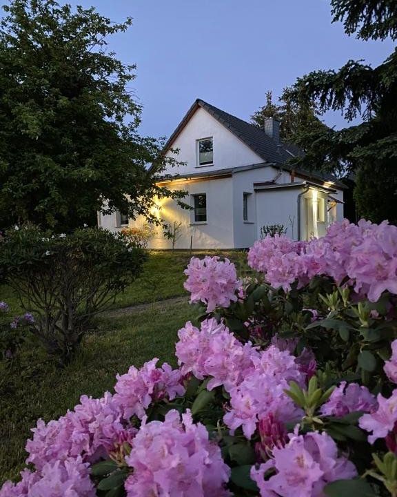 gemütliches Ferienhaus