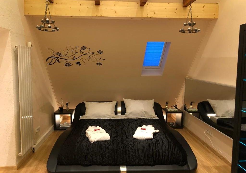 CATS Dreams