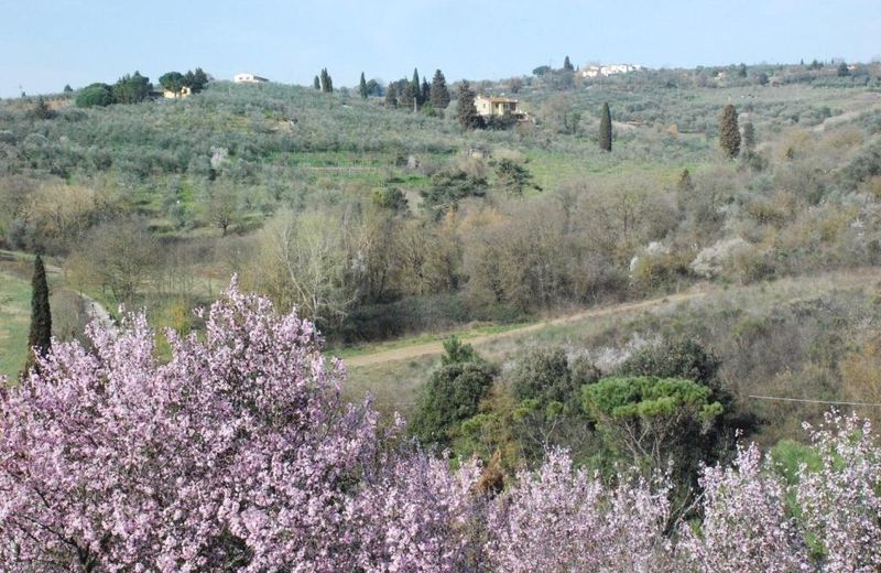 Gli Oleandri di Belfiore