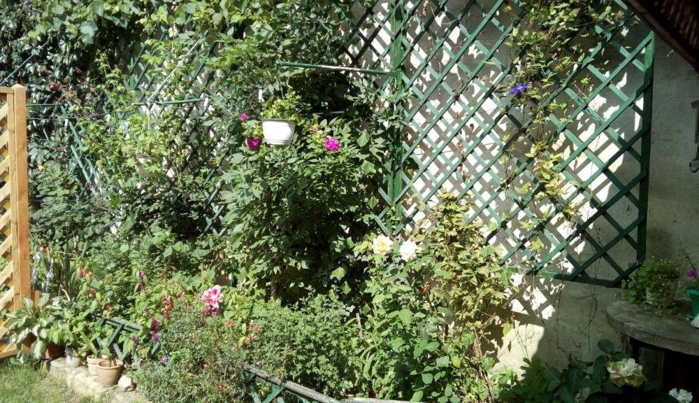 Outdoor Pictures 15