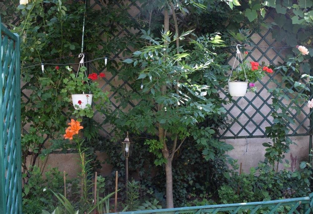 Outdoor Pictures 10