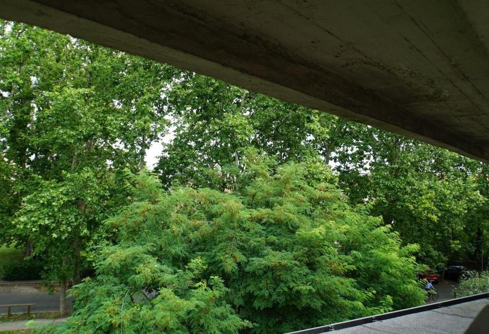 Outdoor Pictures 3