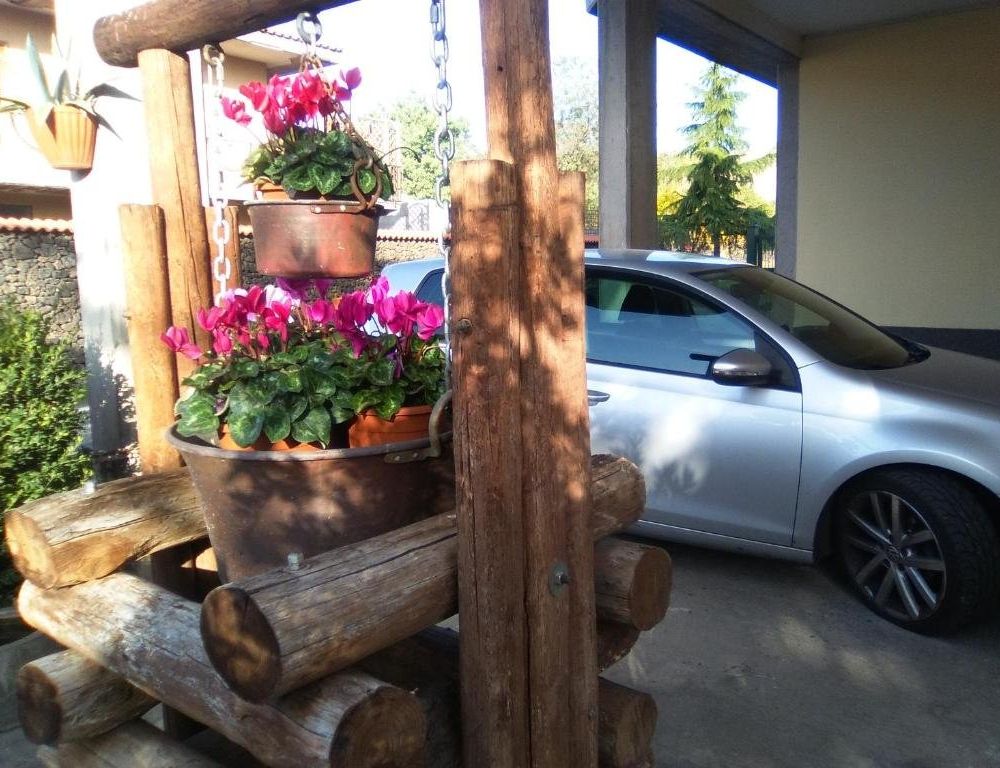 Outdoor Pictures 3