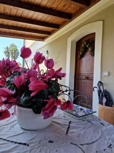 Outdoor Pictures 17